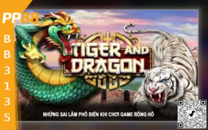 Những sai lầm phổ biến khi chơi game rồng hổ